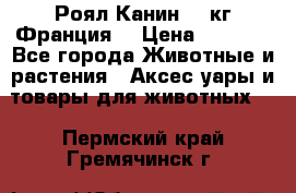  Роял Канин 20 кг Франция! › Цена ­ 3 520 - Все города Животные и растения » Аксесcуары и товары для животных   . Пермский край,Гремячинск г.
